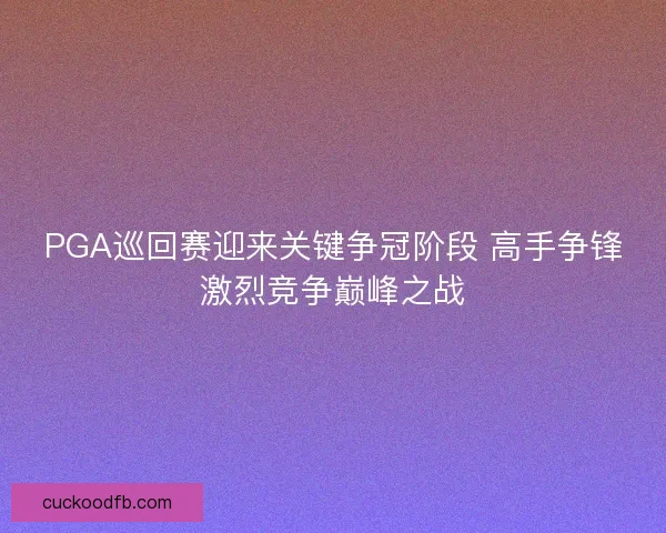 PGA巡回赛迎来关键争冠阶段 高手争锋激烈竞争巅峰之战