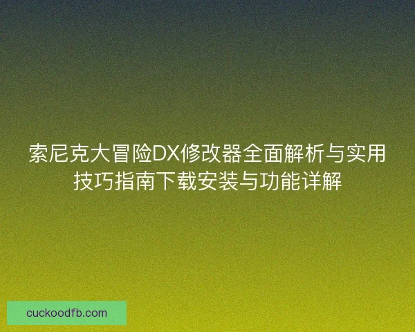 索尼克大冒险DX修改器全面解析与实用技巧指南下载安装与功能详解